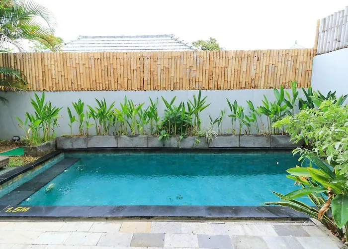 The Widyas Bali